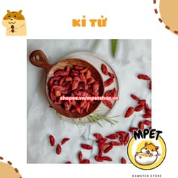 [50g] Kỷ tử khô – Bổ mắt, tăng đề kháng, giảm stress cho hamster và thú nhỏ 3