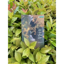 Sách - Tịnh Độ Nhân Gian - Hòa Thượng Thánh Nghiêm - Vĩnh Nghiêm Books 2