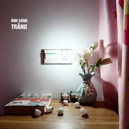 đèn led usb mini siêu sáng đọc sách giá rẻ nhỏ gọn cho laptop, sạc dự phòng, máy tính, ô tô, xe hơi 4