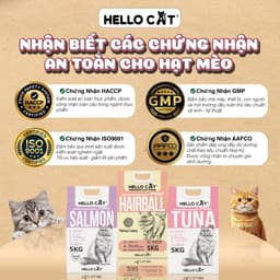 Hạt Mèo Hello Cat 5KG Cho Mọi Lứa Tuổi - Tuna Salmon Hairball 9