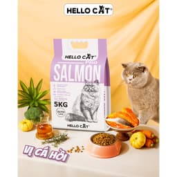 Hạt Mèo Hello Cat 5KG Cho Mọi Lứa Tuổi - Tuna Salmon Hairball 8