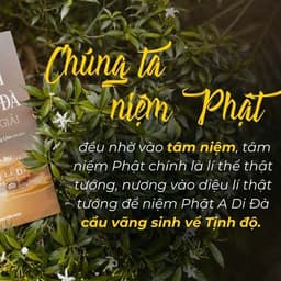 Sách - Kinh A Di Đà Hợp Giải - Vĩnh Nghiêm Books 3
