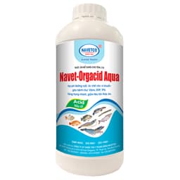 NAVET-ORGACID AQUA _ Ổn định hệ vi khuẩn đường ruột Tôm, Cá, thủy sản 2