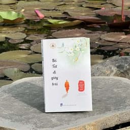 Sách - Bồ Tát Đi Giày Trái - Câu Chuyện Phật giáo - Vĩnh Nghiêm Books 4