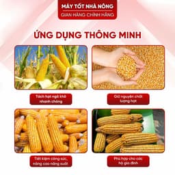 Máy Tẽ Hạt Ngô Tách Hạt Bắp Gia Đình Nguyên Khung Năng Suất 350kg/h Siêu Sạch 99% 6