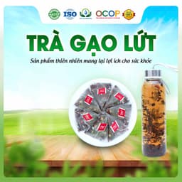 Trà Gạo Lứt Mix Cỏ Ngọt Thơm Ngon Dễ Uống Thanh Mát Cho Ngày Thư Thái Hộp 30 Túi Lọc 2