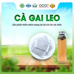 Trà Cà Gai Leo Mix Cỏ Ngọt Thơm Ngon Dễ Uống Thanh Mát Cho Ngày Thư Thái Hộp 30 Túi Lọc 2
