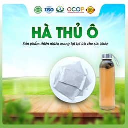 Trà Hà Thủ Ô Mix Cỏ Ngọt Thơm Ngon Dễ Uống Thanh Mát Cho Ngày Thư Thái Hộp 30 Túi Lọc 2