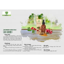 Bearberry Stem - Cells (15Ml) 3