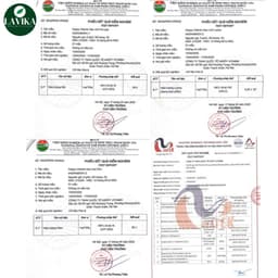 Sét 5 Vị Kẹo Mút Happy Vitamin Hương Vị Trái Cây– LAVIKA Organic 2