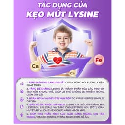 Sét 5 Vị Kẹo Mút Happy Vitamin Hương Vị Trái Cây– LAVIKA Organic 6