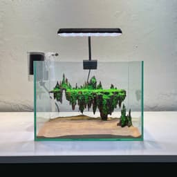 Bộ Combo Bể Cá Thuỷ Sinh 30cm | Layout Đảo Bay Đầy Đủ Đèn Lọc Và Cát Nền | RF Aquarium 2