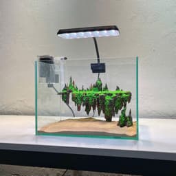Bộ Combo Bể Cá Thuỷ Sinh 30cm | Layout Đảo Bay Đầy Đủ Đèn Lọc Và Cát Nền | RF Aquarium 3