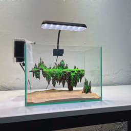 Bộ Combo Bể Cá Thuỷ Sinh 30cm | Layout Đảo Bay Đầy Đủ Đèn Lọc Và Cát Nền | RF Aquarium 4