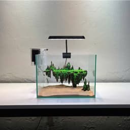 Bộ Combo Bể Cá Thuỷ Sinh 30cm | Layout Đảo Bay Đầy Đủ Đèn Lọc Và Cát Nền | RF Aquarium 5