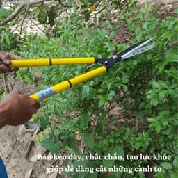 Công cụ cắt tỉa: kéo cắt cành, kéo hàng rào, kéo cắt chè, kéo cắt cỏ điều chỉnh chiều dài. 4