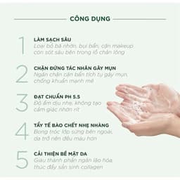 Sữa Rửa Mặt Giảm Mụn, Kiềm Dầu Caryophy Portulaca Foam Cleanser 150ml 9