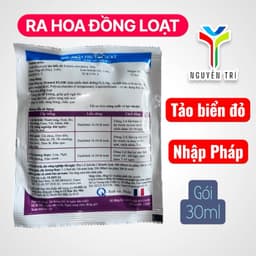 Seamel FLOR 25ml – Phân Tảo Biển Cho Cây Trái, Rau Màu, Lúa – Nhập Khẩu Pháp 2