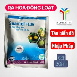 Seamel FLOR 25ml – Phân Tảo Biển Cho Cây Trái, Rau Màu, Lúa – Nhập Khẩu Pháp 1