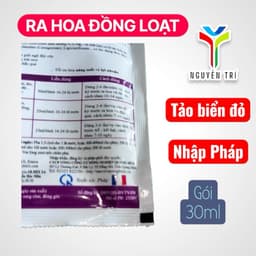 Seamel FLOR 25ml – Phân Tảo Biển Cho Cây Trái, Rau Màu, Lúa – Nhập Khẩu Pháp 3
