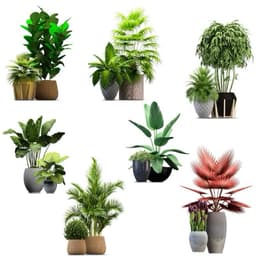 Decal dán tường chậu cây xanh 3