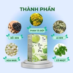 Trà thải độc ruột Phan Tả Diệp Hộp 25 Túi Lọc Hỗ Trợ Giảm Cân, Nhuận Tràng, Thanh Lọc Cơ Thể 2