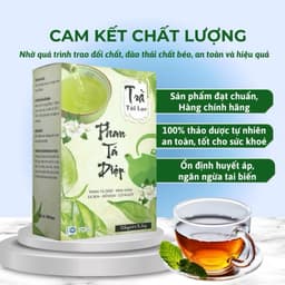 Trà thải độc ruột Phan Tả Diệp Hộp 25 Túi Lọc Hỗ Trợ Giảm Cân, Nhuận Tràng, Thanh Lọc Cơ Thể 4