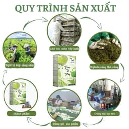 Trà thải độc ruột Phan Tả Diệp Hộp 25 Túi Lọc Hỗ Trợ Giảm Cân, Nhuận Tràng, Thanh Lọc Cơ Thể 6