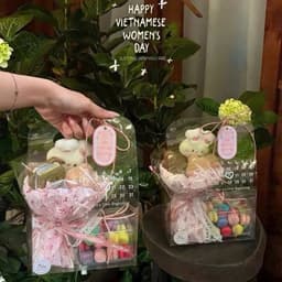Combo 10C Túi Mica In Lịch Đựng Bánh Và Hoa Túi Lịch Quà Tặng Mica Xinh Xắn ,Túi Mica Trong Suốt 4