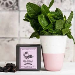 [ TRÀ GAN  ] - Trà thảo mộc Siberian Baikal tea N6, thanh lộc, hỗ trợ chức năng gan - Hộp 30 gói 7