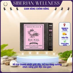 [ TRÀ GAN  ] - Trà thảo mộc Siberian Baikal tea N6, thanh lộc, hỗ trợ chức năng gan - Hộp 30 gói 1