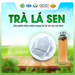 Trà Lá Sen Hoa Nhài Cỏ Ngọt Siêu Thị Thiên Nhiên Hộp 30 Túi Lọc 2