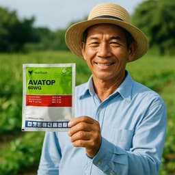 Avatop 60WG 100gr – 2 Hoạt Chất, Hỗ Trợ Cây Khỏe Mạnh, Hiệu Quả Nhanh 3
