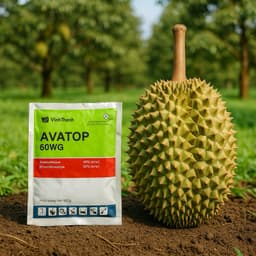 Avatop 60WG 100gr – 2 Hoạt Chất, Hỗ Trợ Cây Khỏe Mạnh, Hiệu Quả Nhanh 4