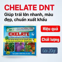 Siêu Chelate DNT 20g – Giúp Trái Lớn Nhanh, Màu Đẹp, Chuẩn Xuất Khẩu – Phục Hồi Cây Mạnh Mẽ 3