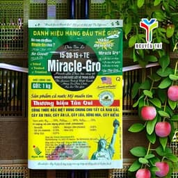 Phân Bón Lá Miracle-Gro (15-30-15+TE) Gói 1kg - Phân Bón Mỹ Cao Cấp, Kích Rễ, Ra Hoa, Đậu Trái 4