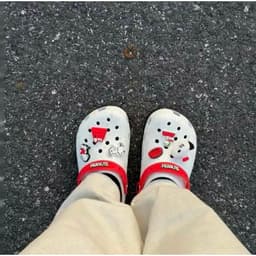 |PPSNK3 | Dép Cá Sấu Người Lớn Unisex Hoạt Hình Snoo.py Pea.nuts Kèm Sẵn Hình Gắn Như Ảnh 4