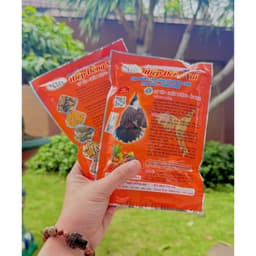 2 gói cám DƯỠNG Chào Mào Hiệp Đồng Nai 1