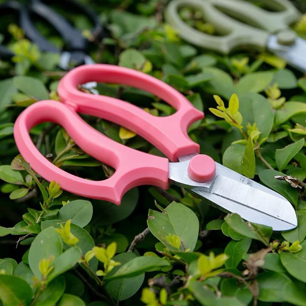 Kéo mũi bầu cao cấp, dễ dùng để cắt tỉa hoa và cành, mang lại sự tiện lợi cho người sử dụng.