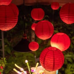 Đèn lồng Hoa Đào trang trí Trung thu, Tết đèn hoa mai chống nước hình trụ bầu dục 9