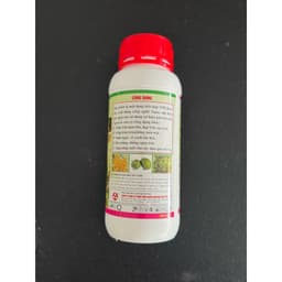 ABIO LỚN TRÁI, NGỌT NƯỚC, CƠM DÀY CHỐNG NỨT TRÁI CHAI 500ML 2