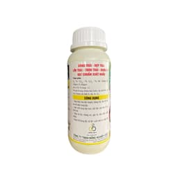 LỚN TRÁI DỪA GIÚP LỚN TRÁI, CƠM DÀY, NGỌT NƯỚC, HẠN CHẾ NỨT TRÁI CHAI 500ML 2