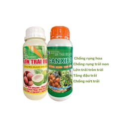 COMBO LỚN TRÁI-CANXIBO GIÚP TĂNG ĐẬU TRÁI, CHỐNG RỤNG HOA VÀ TRÁI NON, LỚN TRÁI TRÒN TRÁI CHAI 500ML 1