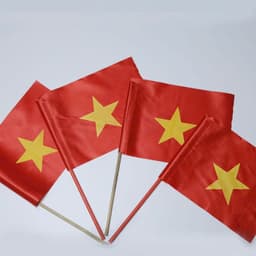 Combo 10 cái Cờ vẫy cầm tay vải phi bóng đẹp khai giảng in 1 mặt, in 2 mặt 1