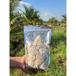 30 TÚI TREO ĐUỔI ĐUÔNG DỪA, BÙ XÈ, KIẾN VƯƠNG HẠI DỪA( mẫu mới 2025 ) 4