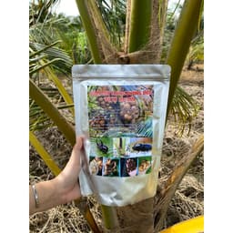 20 TÚI TREO ĐUỔI ĐUÔNG DỪA, BÙ XÈ, KIẾN VƯƠNG, CÔN TRÙNG HẠI DỪA GÓI 1KG 2