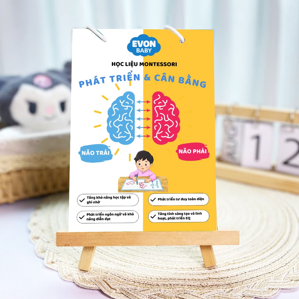 Thẻ Flash EVON BABY dạy bé tập nói - montessori phát triển và cân bằng não trái não phải