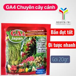Phân Bón Lá GA4 Japan - Siêu Kích Thích Sinh Trưởng, Đâm Chồi, Bật Đọt, Lớn Trái, Đẹp Màu 4