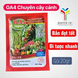 Phân Bón Lá GA4 Japan - Siêu Kích Thích Sinh Trưởng, Đâm Chồi, Bật Đọt, Lớn Trái, Đẹp Màu 1