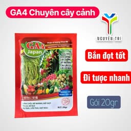 Phân Bón Lá GA4 Japan - Siêu Kích Thích Sinh Trưởng, Đâm Chồi, Bật Đọt, Lớn Trái, Đẹp Màu 3
